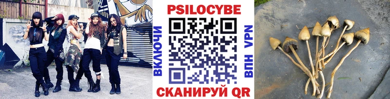 Псилоцибиновые грибы Magic Shrooms  сайты даркнета формула  Поворино  что такое  